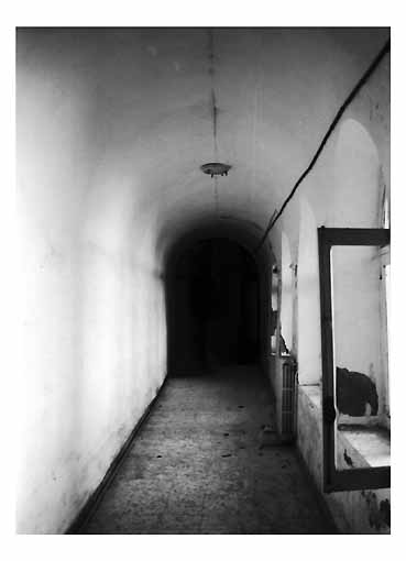 San Francesco 2